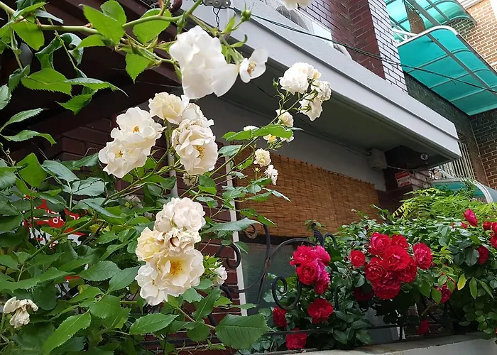 Гостевой дом Seochon 4*